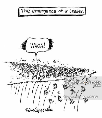 The emergence of a leader.